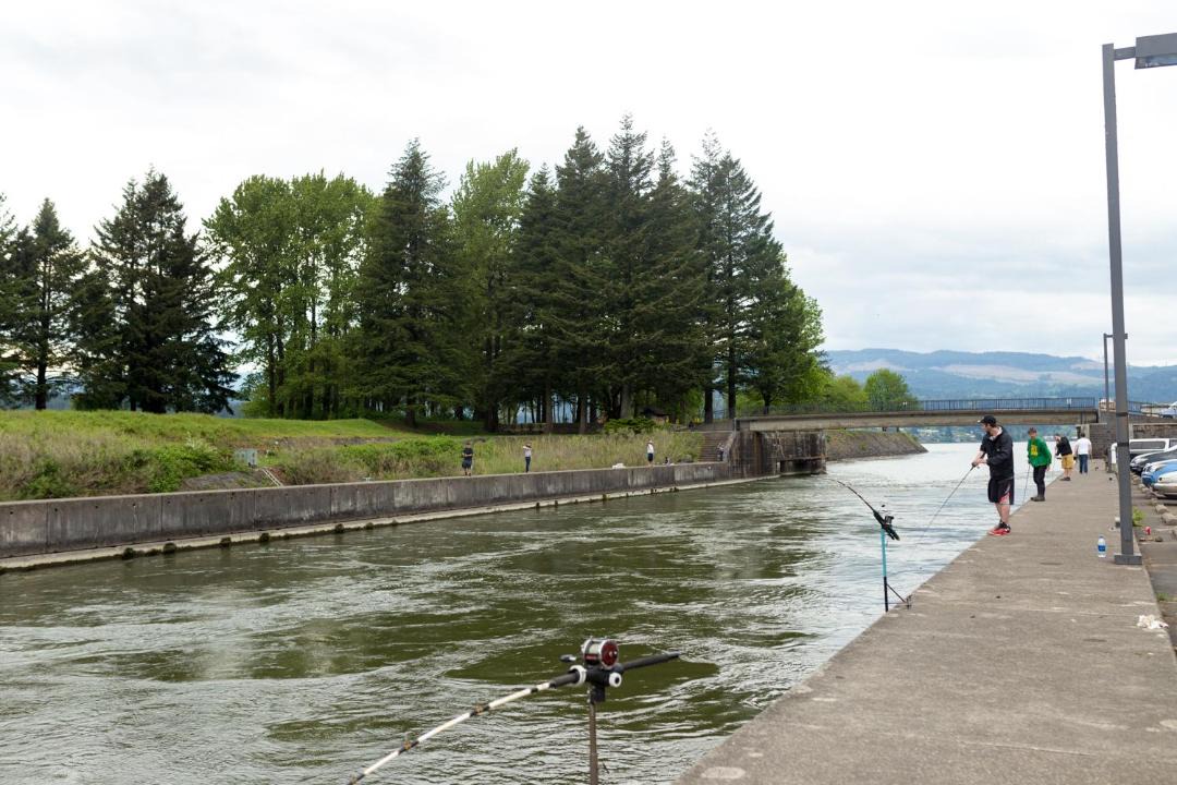 Photo of Others in Cascade Locks