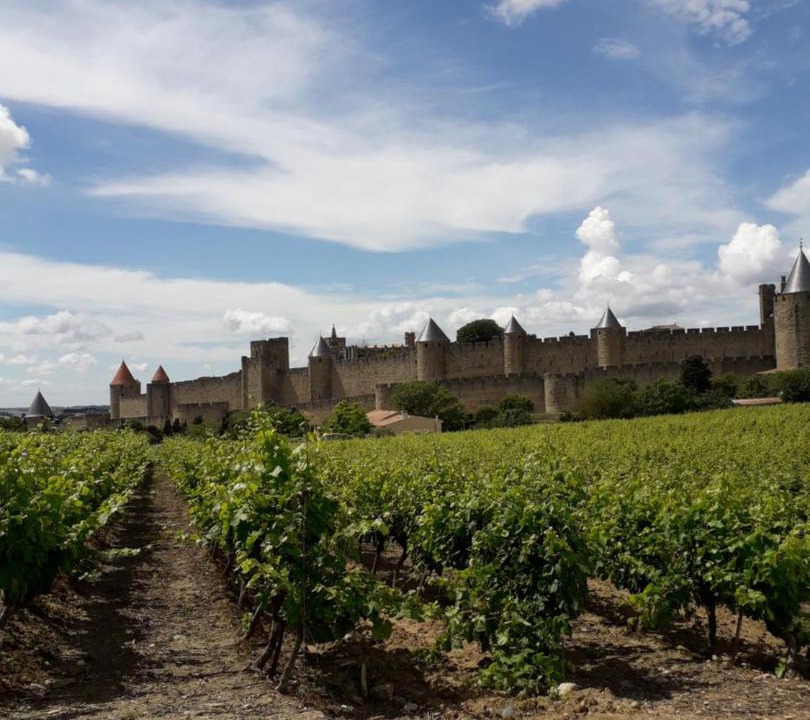 Photo of Others in City of Carcassonne