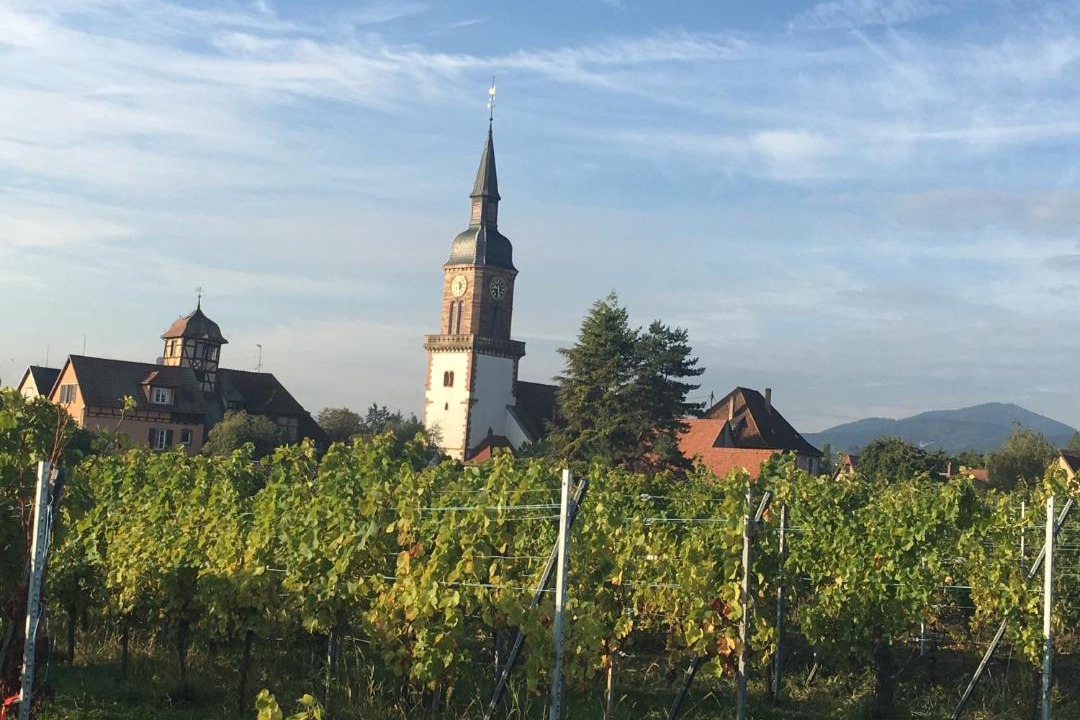 Photo of Others in Gertwiller