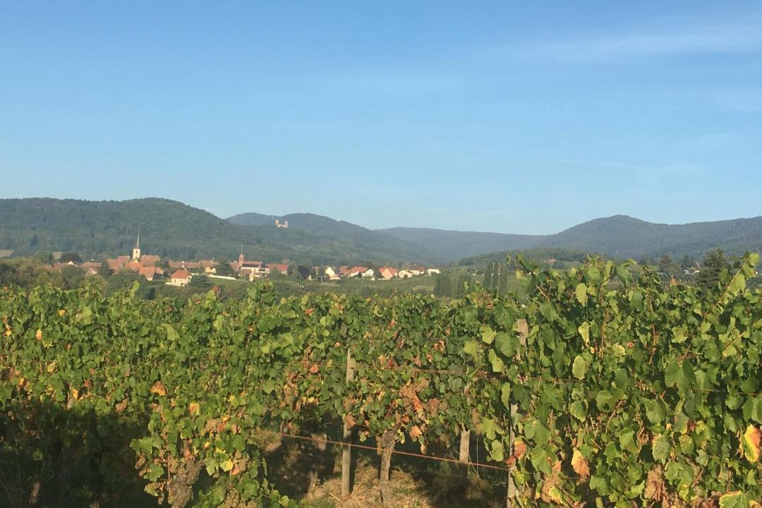 Photo of Others in Gertwiller