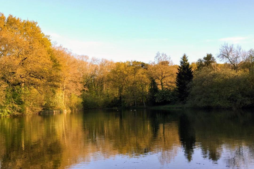 Photo of Outdoor in Farthinghoe