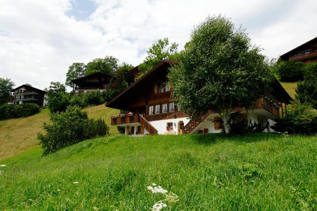 Photo of Others in Grindelwald