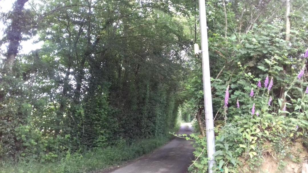 Photo of Others in Saint-Sylvestre-de-Cormeilles