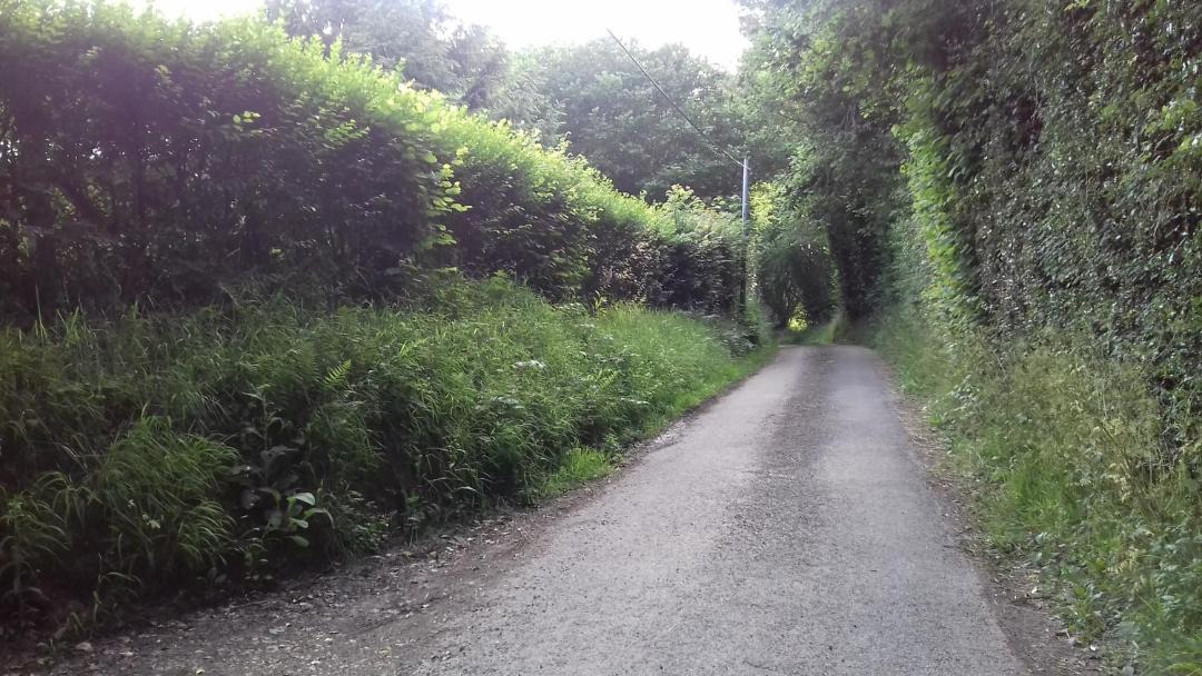Photo of Others in Saint-Sylvestre-de-Cormeilles