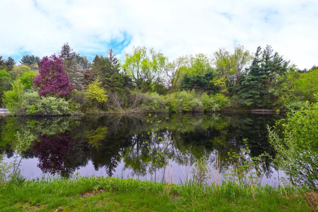 Photo of Others in Putnam