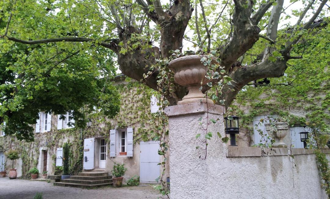 Photo of Others in Niozelles