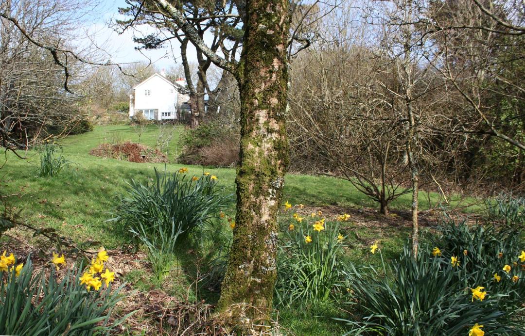 Photo of Outdoor in Saint Erth Praze