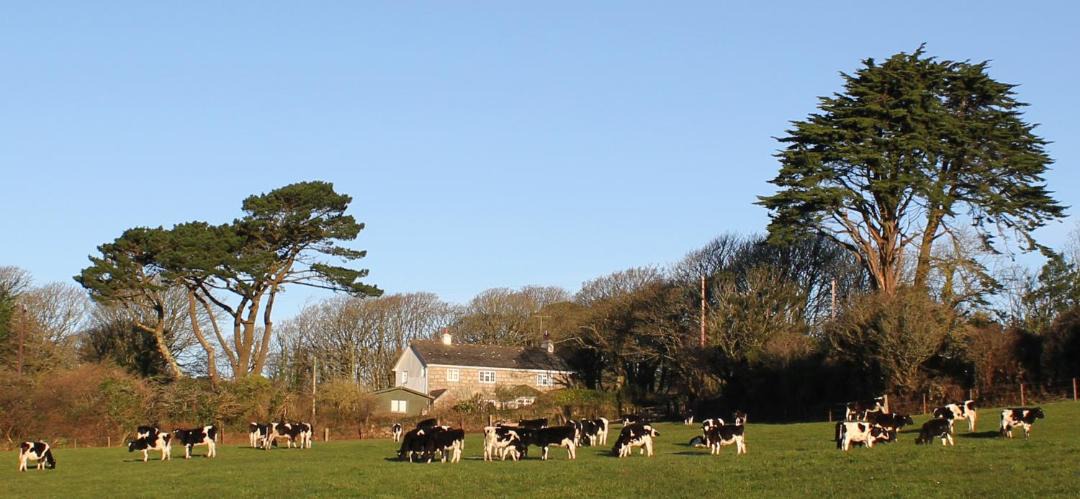 Photo of Buildings in Saint Erth Praze