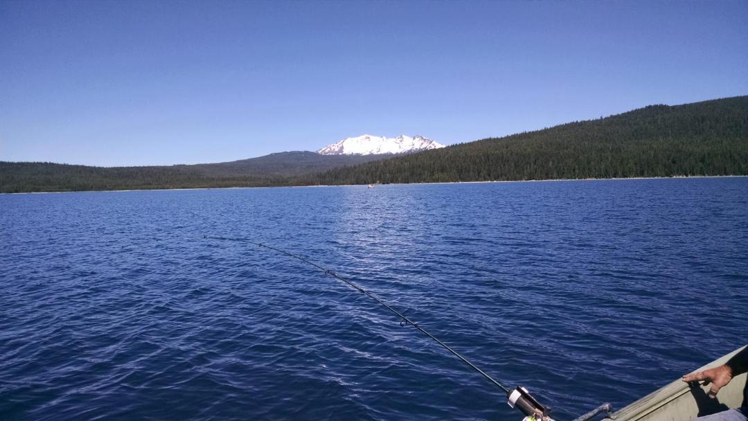 Photo of Others in La Pine