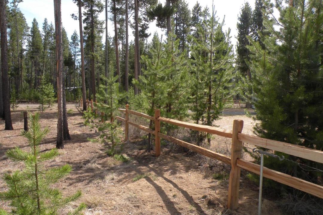 Photo of Others in La Pine