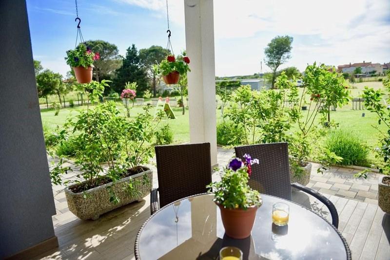 Photo of Patio Balcony in Skatari