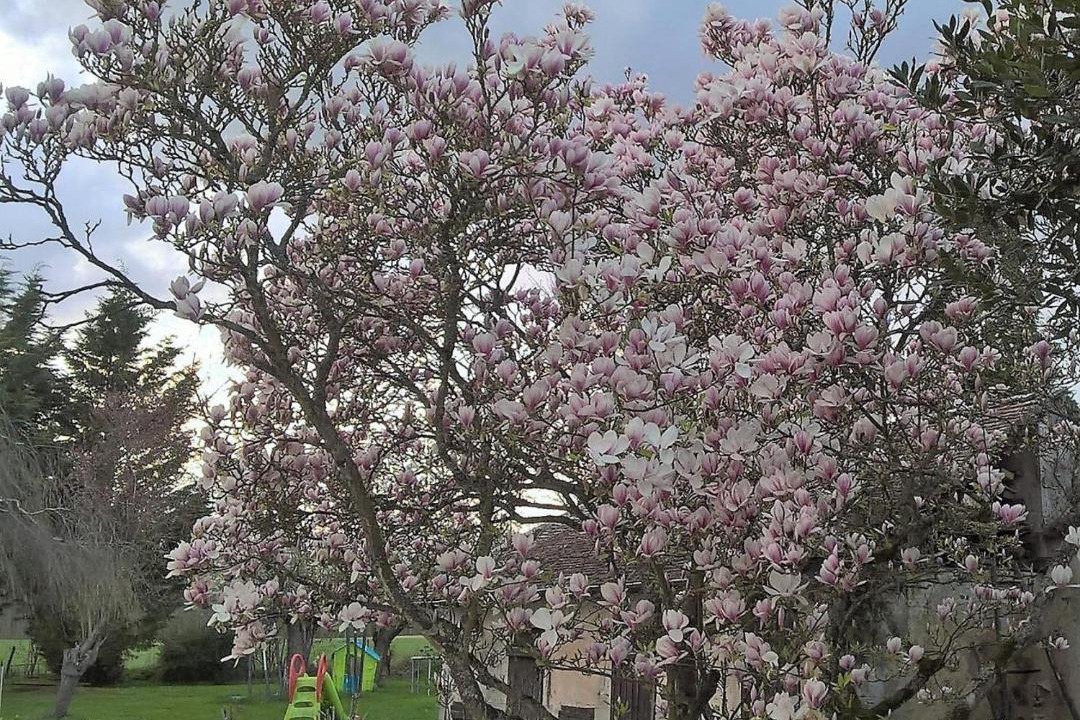 Photo of Others in Beautheil