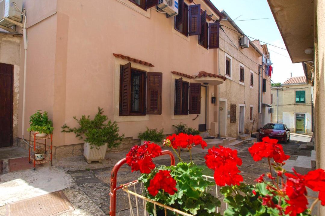 Photo of Others in Pula