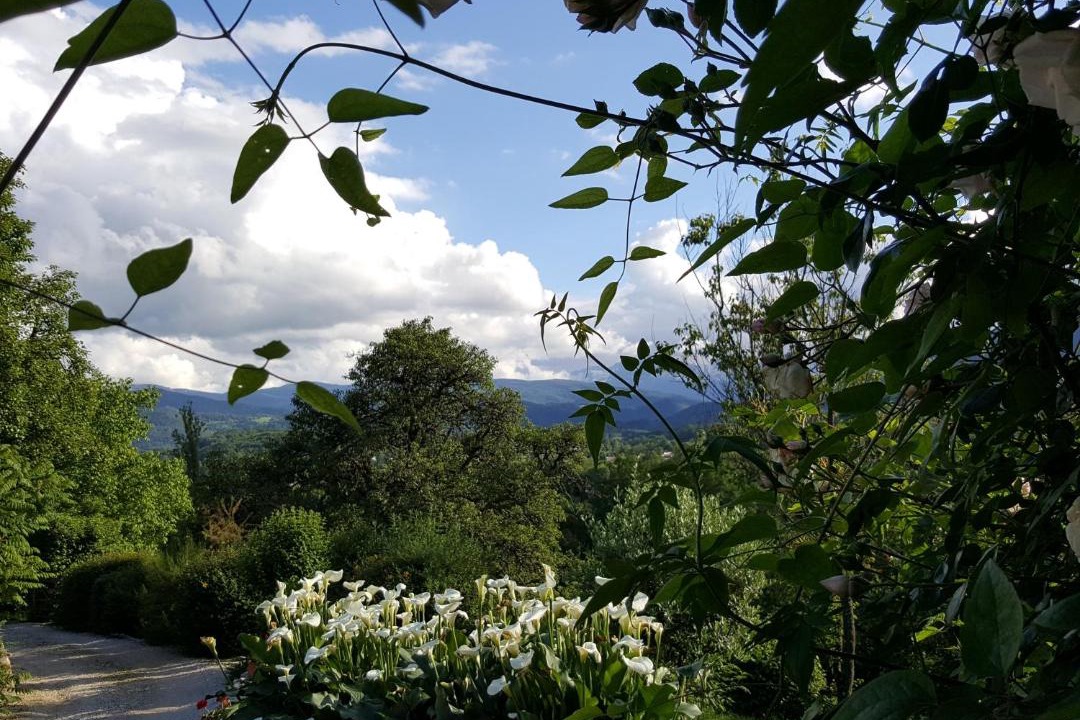 Photo of Others in Saint-Lizier