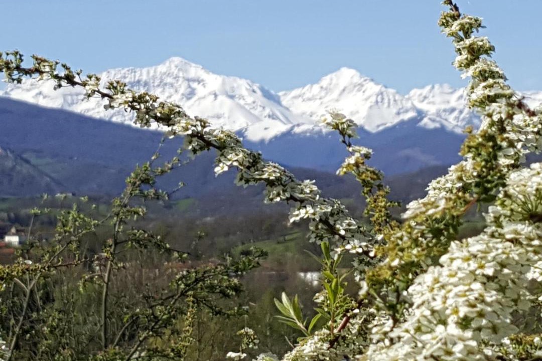 Photo of Others in Saint-Lizier