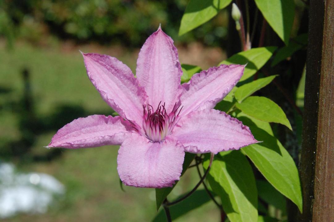 Photo of Others in Fougeres-sur-Bievre