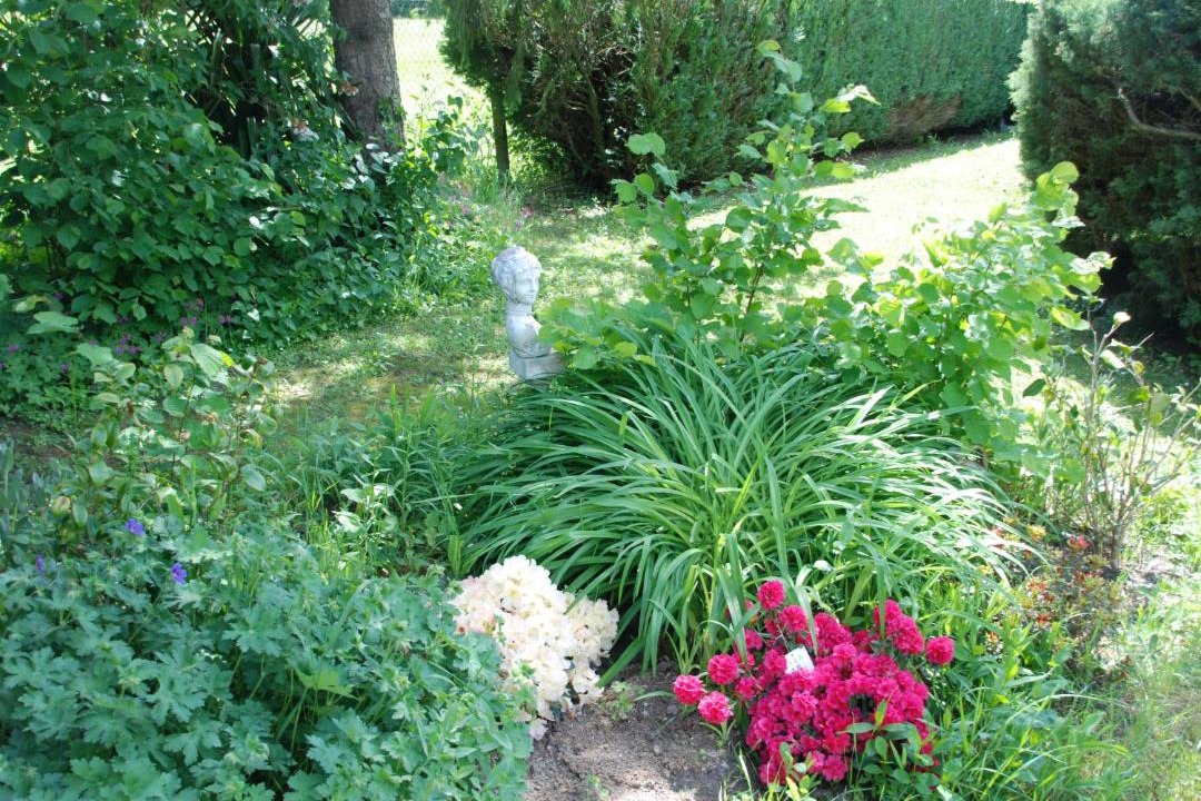 Photo of Others in Fougeres-sur-Bievre