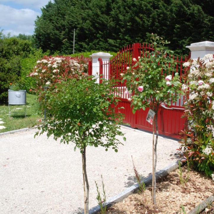 Photo of Others in Fougeres-sur-Bievre