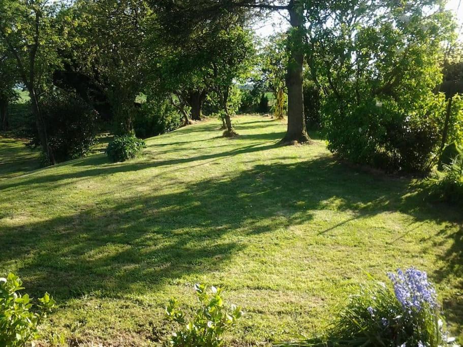 Photo of Outdoor in Mailly-Maillet