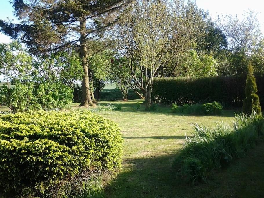 Photo of Outdoor in Mailly-Maillet