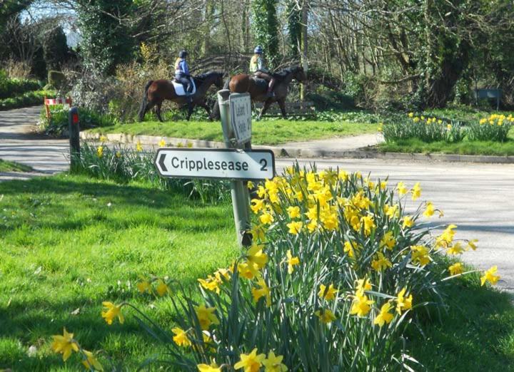 Photo of Outdoor in Saint Erth Praze