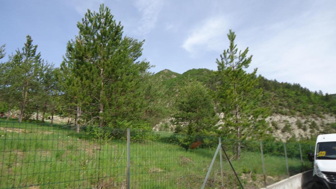 Photo of Others in Entrevaux