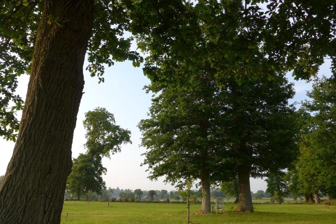 Photo of Others in Combourg