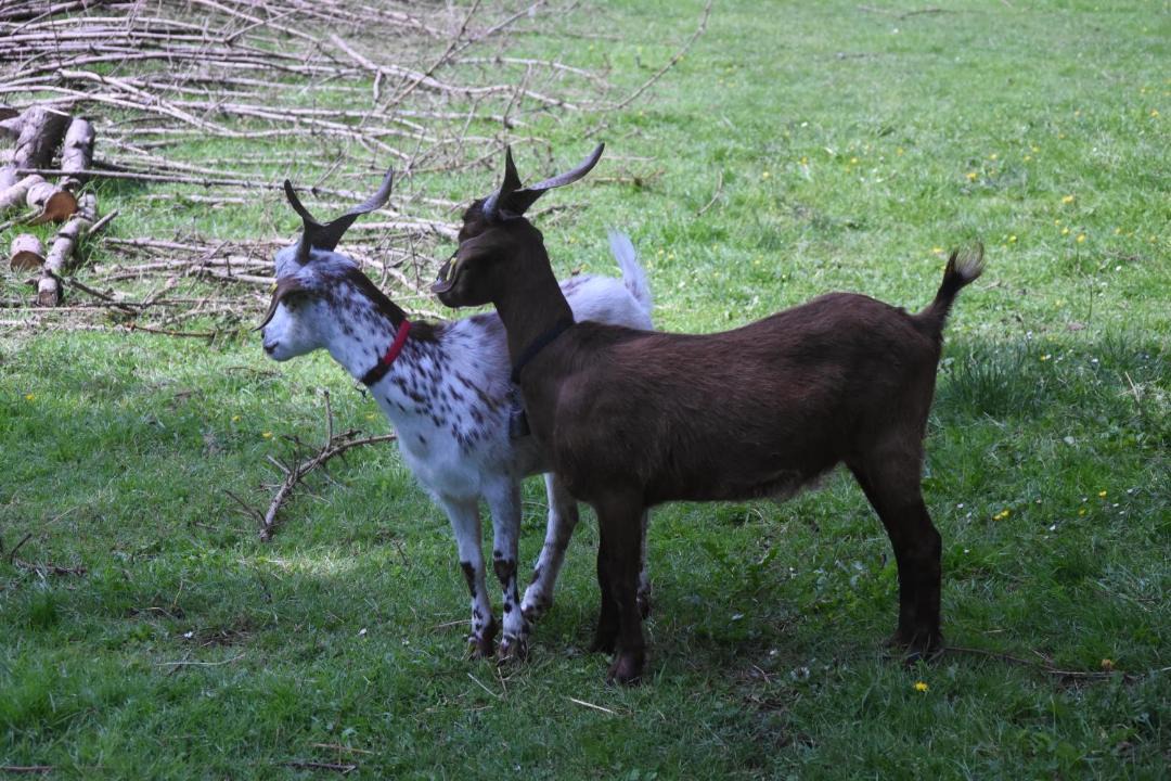 Photo of Others in Villers-Robert