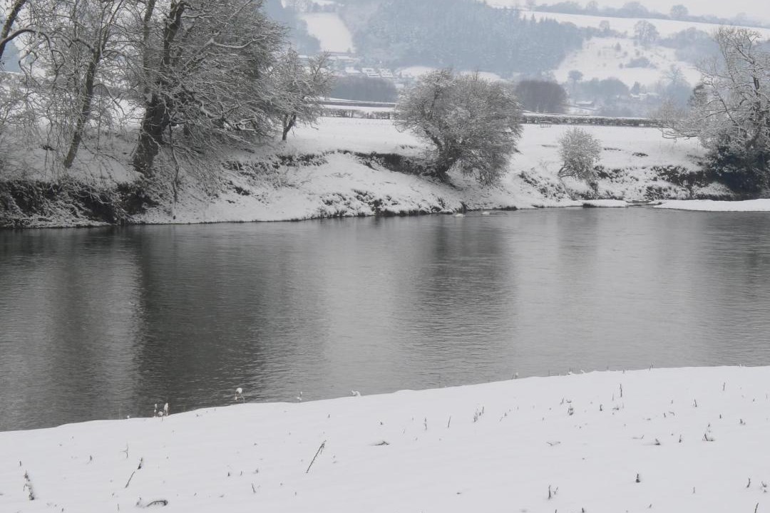 Photo of Others in Westbrook Court