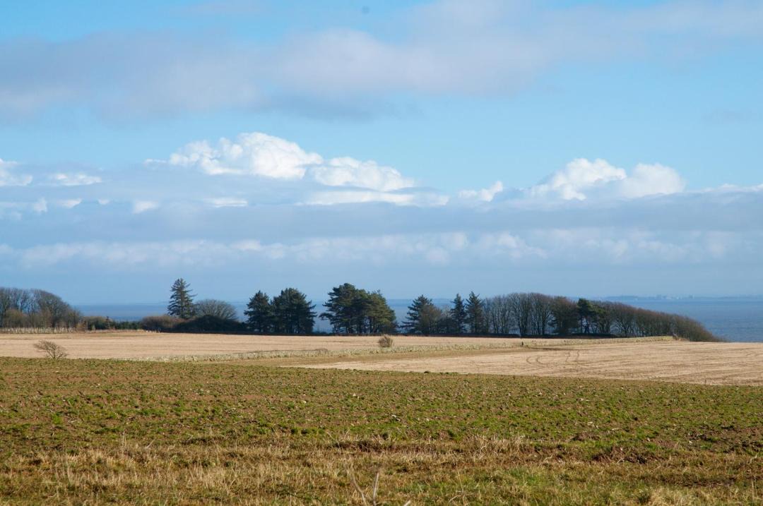 Photo of Others in Carsethorn