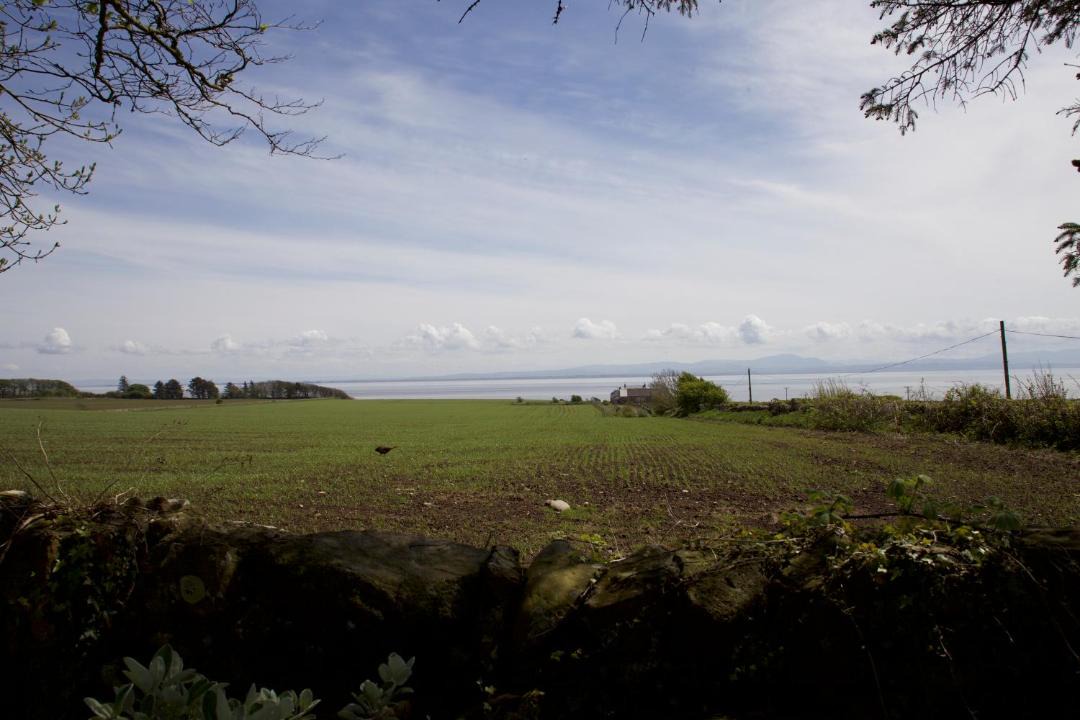 Photo of Others in Carsethorn