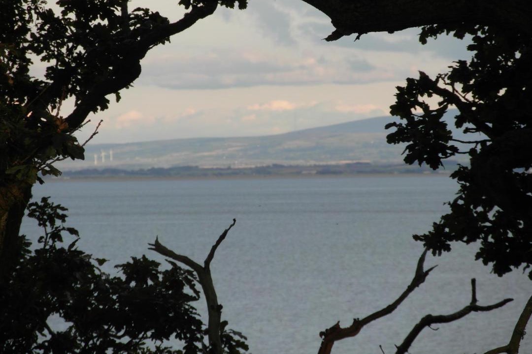 Photo of Others in Carsethorn