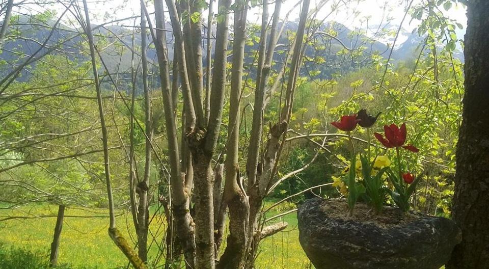 Photo of Others in Garin