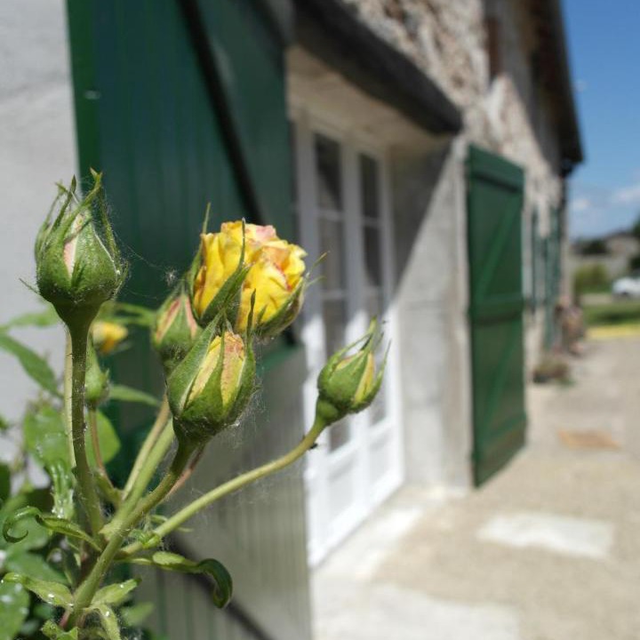 Photo of Buildings in Montesquieu