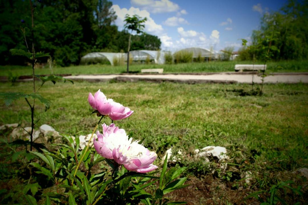 Photo of Outdoor in Montesquieu