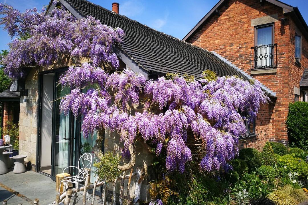 Photo of Others in Stanley Common