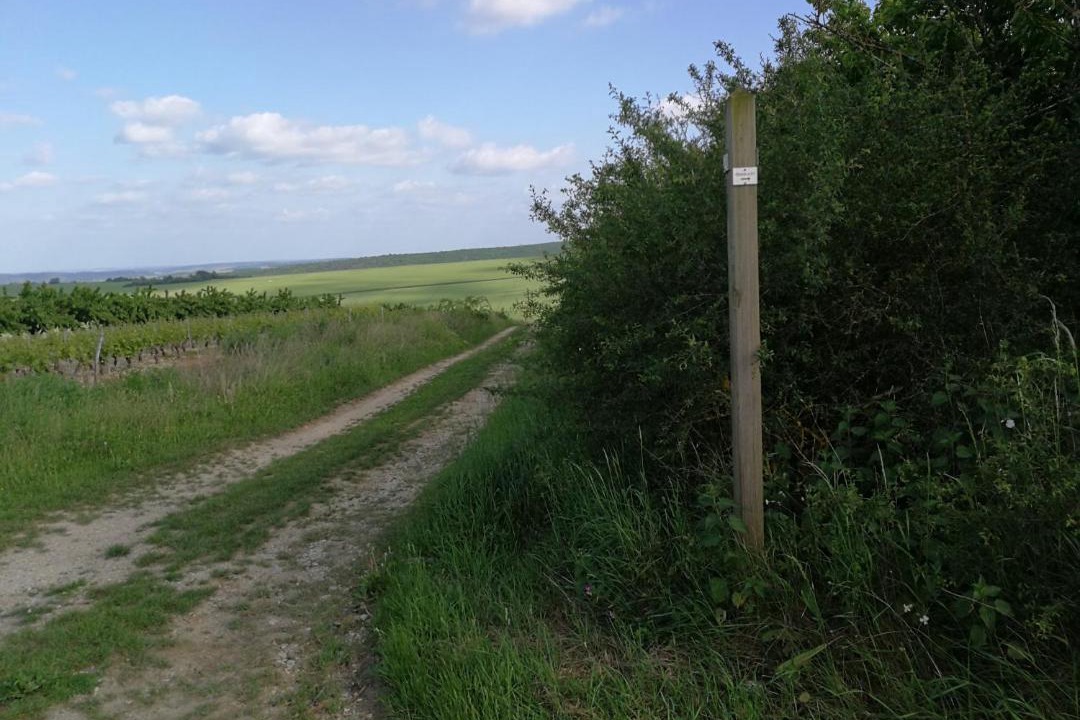 Photo of Others in Escolives-Sainte-Camille