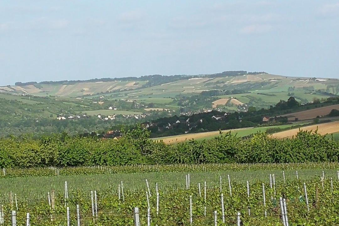 Photo of Others in Escolives-Sainte-Camille