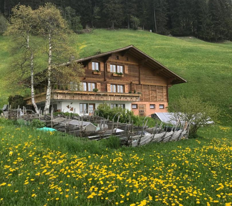 Photo of Others in Adelboden