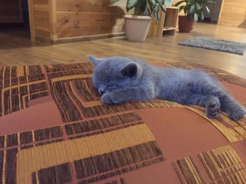 Photo of Others in Bzhid