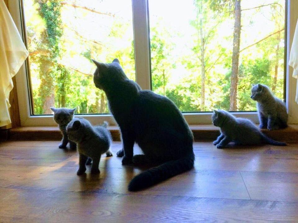 Photo of Human In Picture in Bzhid