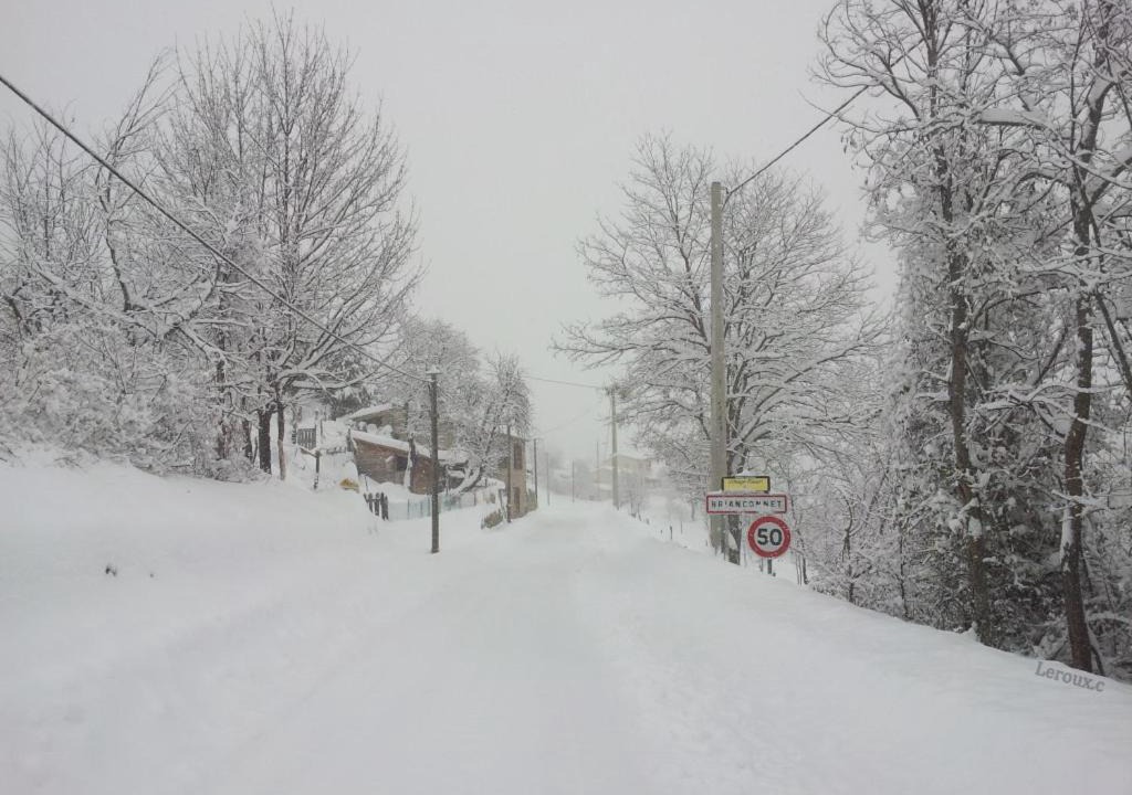 Photo of Others in Brianconnet