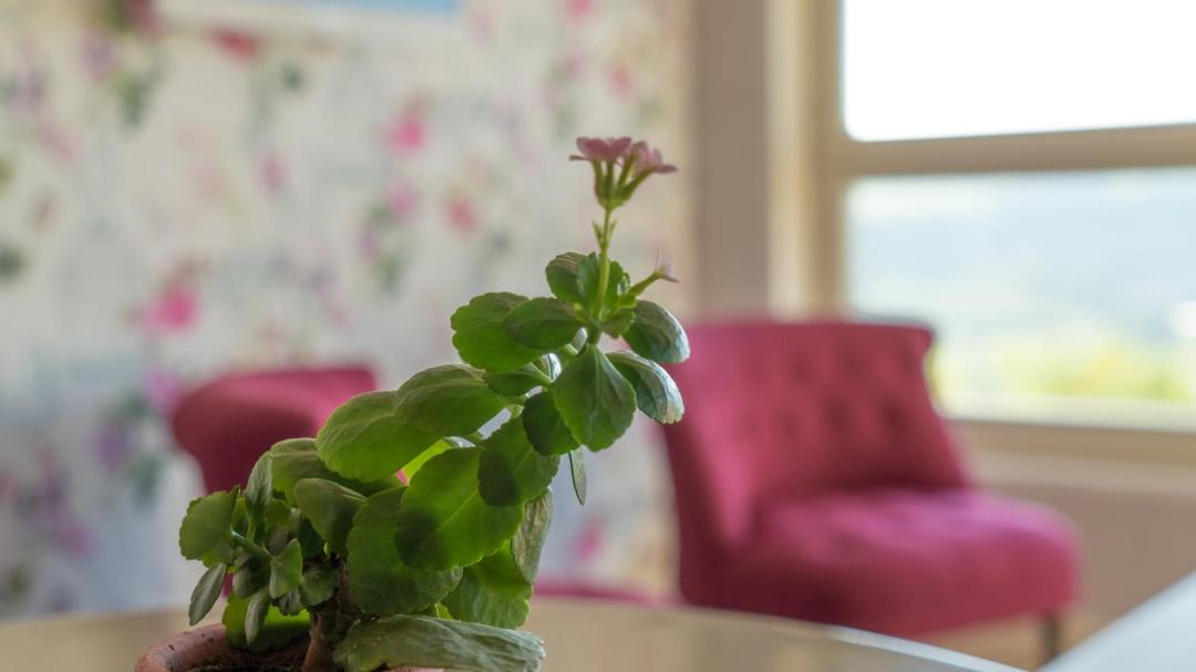 Photo of Others in Hohwiller