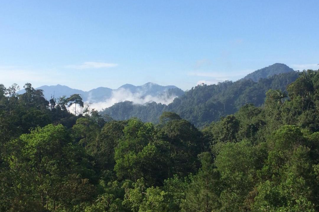 Photo of Others in Genting Highlands