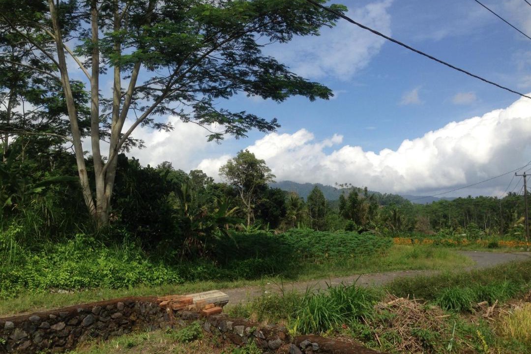 Photo of Outdoor in Selat
