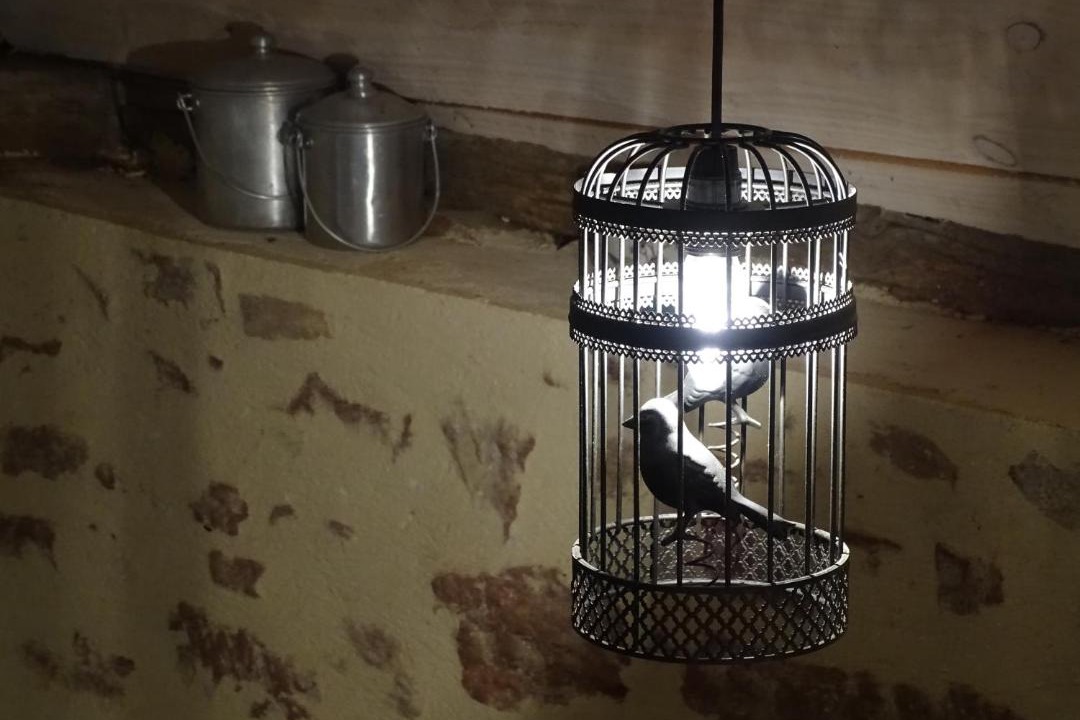 Photo of Others in Le Donjon