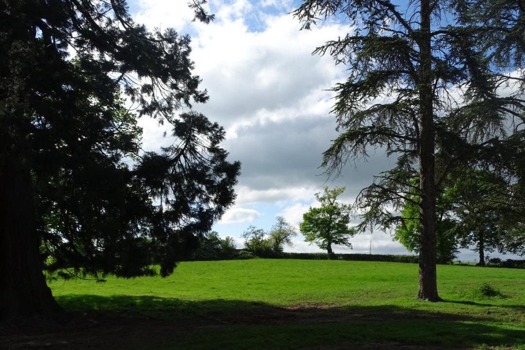 Photo of Others in Le Donjon