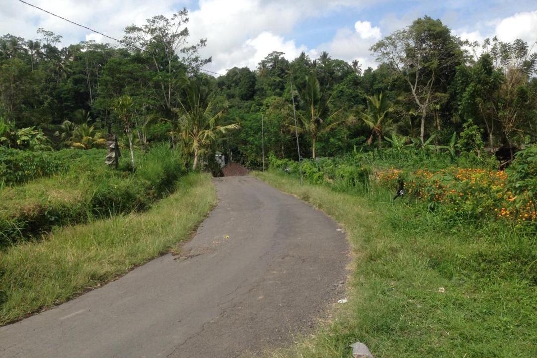 Photo of Outdoor in Selat