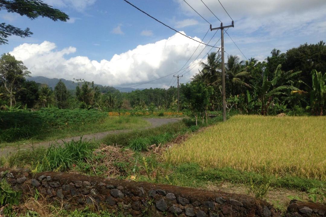 Photo of Outdoor in Selat