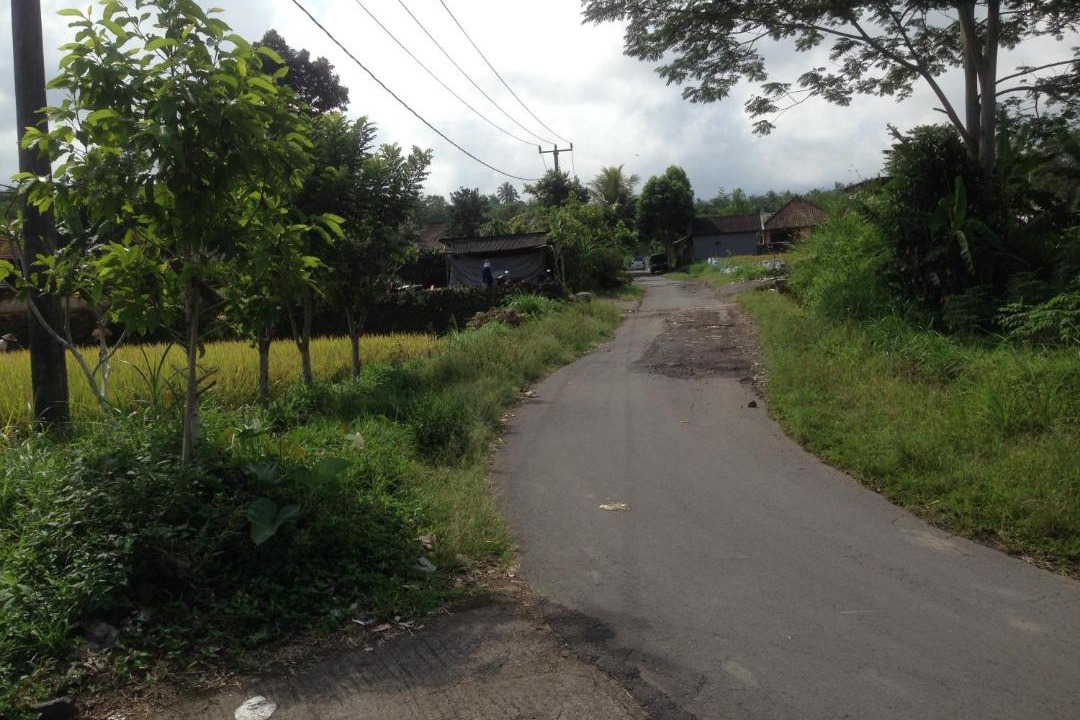 Photo of Outdoor in Selat